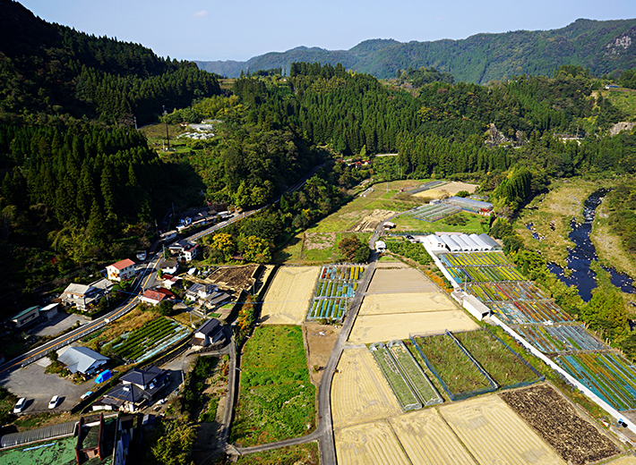 すべての樹木に、 真心を込めて。